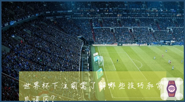 世界杯下注前需了解哪些技巧和常见误区？