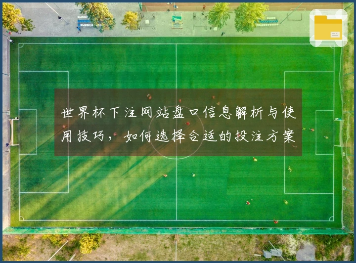 世界杯下注网站盘口信息解析与使用技巧,如何选择合适的投注方案
