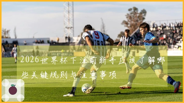 2026世界杯下注前新手应该了解哪些关键规则与注意事项