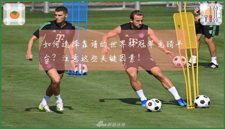 如何选择靠谱的世界杯冠军竞猜平台？注意这些关键因素！