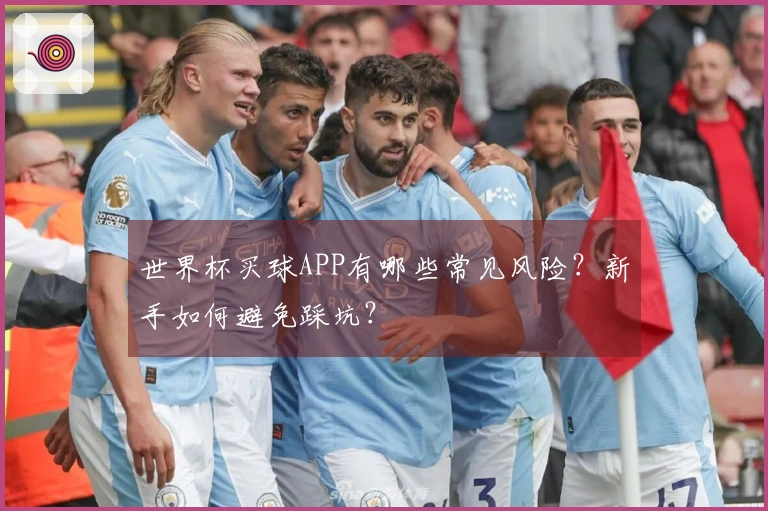 世界杯买球APP有哪些常见风险？新手如何避免踩坑？