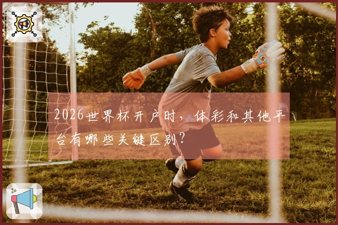 2026世界杯开户时，体彩和其他平台有哪些关键区别？