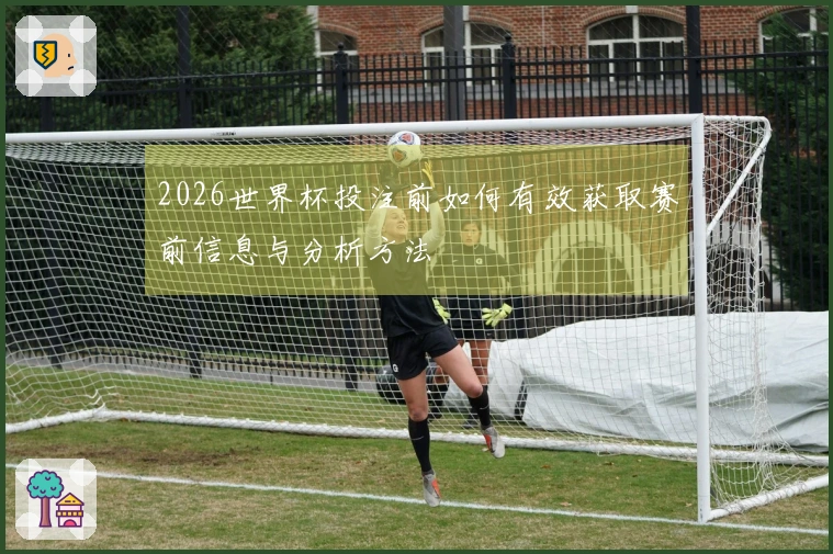 2026世界杯投注前如何有效获取赛前信息与分析方法
