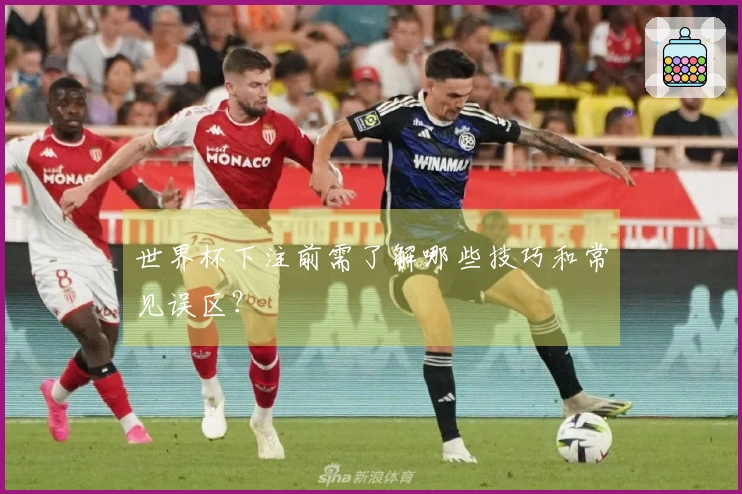 世界杯下注前需了解哪些技巧和常见误区？