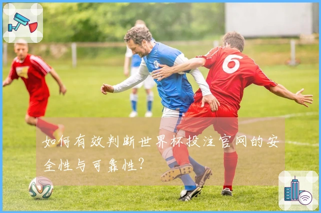 如何有效判断世界杯投注官网的安全性与可靠性？