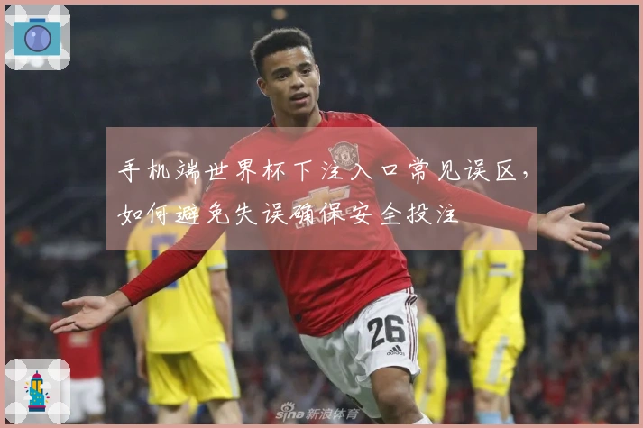 手机端世界杯下注入口常见误区，如何避免失误确保安全投注