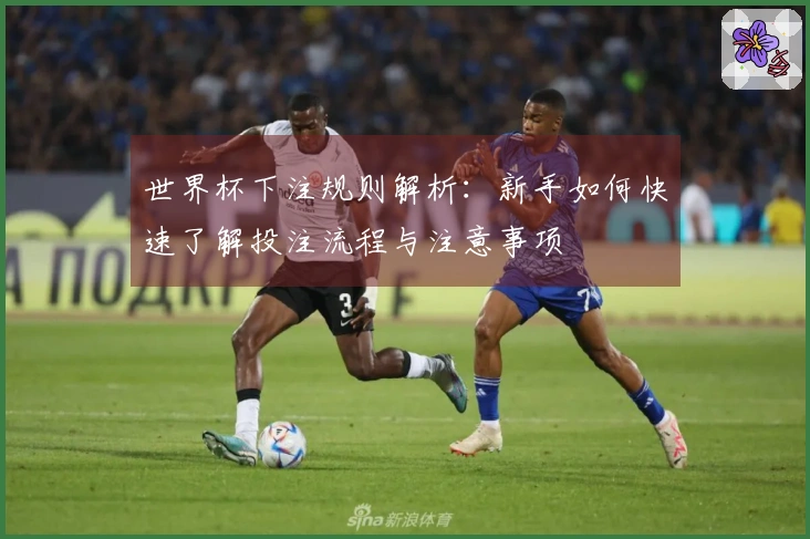世界杯下注规则解析：新手如何快速了解投注流程与注意事项