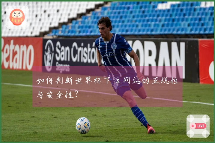 如何判断世界杯下注网站的正规性与安全性？