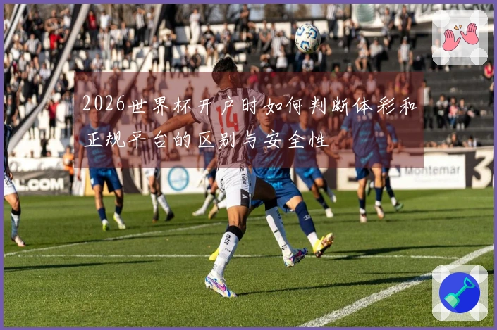 2026世界杯开户时如何判断体彩和正规平台的区别与安全性