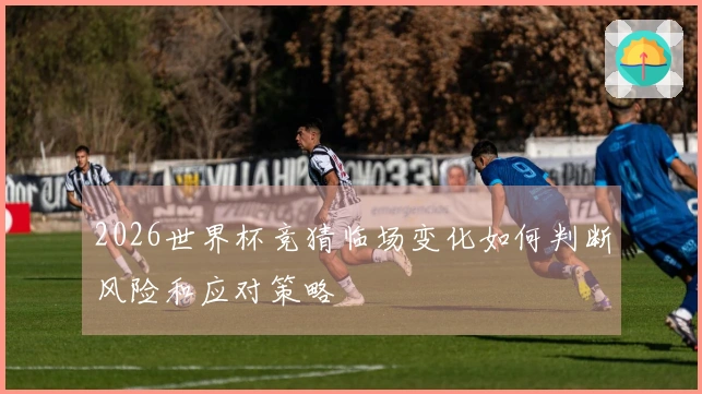 2026世界杯竞猜临场变化如何判断风险和应对策略