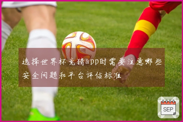 选择世界杯竞猜app时需要注意哪些安全问题和平台评估标准