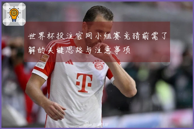 世界杯投注官网小组赛竞猜前需了解的关键思路与注意事项