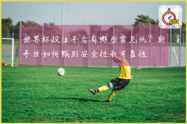 世界杯投注平台有哪些常见坑？新手该如何甄别安全性和可靠性