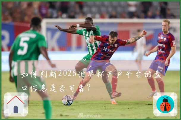 如何判断2026世界杯开户平台的盘口信息是否可靠？