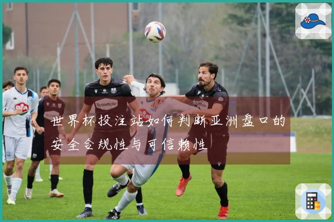 世界杯投注站如何判断亚洲盘口的安全合规性与可信赖性