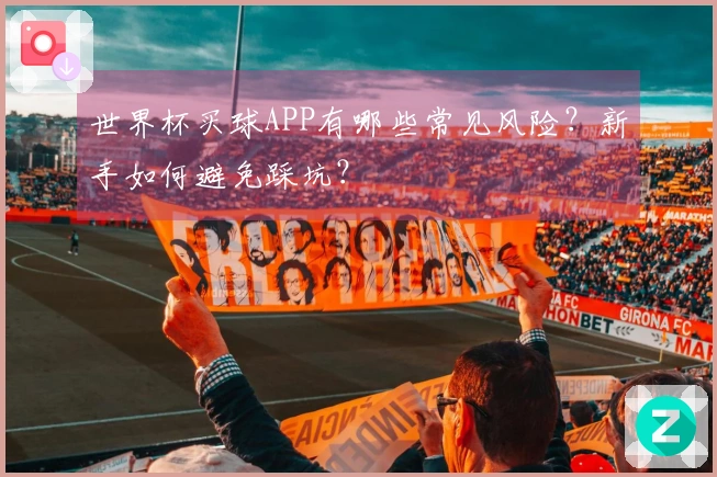 世界杯买球APP有哪些常见风险？新手如何避免踩坑？