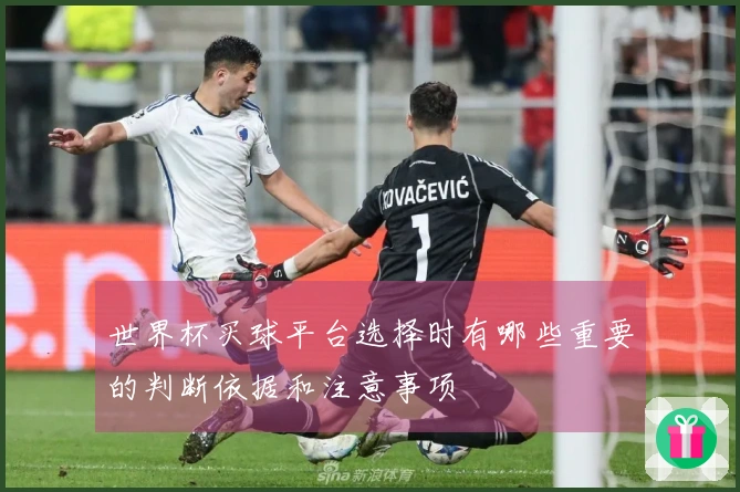 世界杯买球平台选择时有哪些重要的判断依据和注意事项