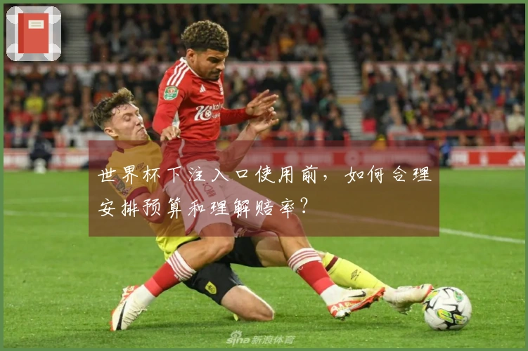 世界杯下注入口使用前，如何合理安排预算和理解赔率？