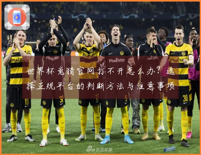 世界杯竞猜官网打不开怎么办？选择正规平台的判断方法与注意事项