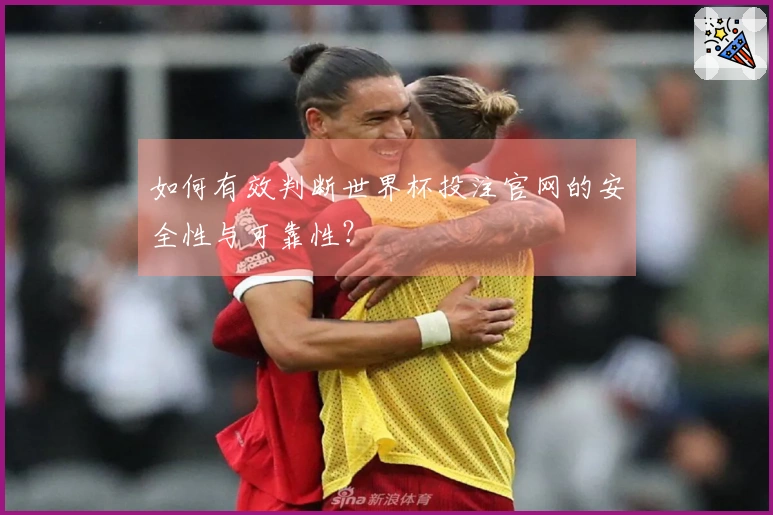 如何有效判断世界杯投注官网的安全性与可靠性？